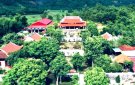 ĐẦU XUÂN KỂ CHUYỆN CHÙA MÈO