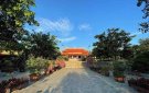 ĐẦU XUÂN KỂ CHUYỆN CHÙA MÈO