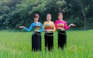 NHỮNG BÔNG HOA ĐẸP GIỮA ĐẠI NGÀN LINH SƠN
