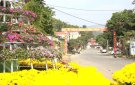 Tết trên quê hương tôi