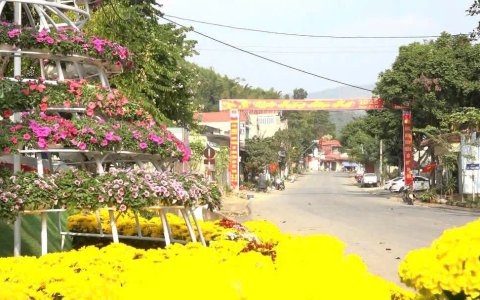 Tết trên quê hương tôi